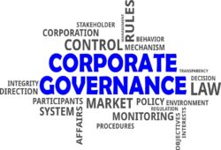 Deutscher Corporate Governance Kodex (2020)